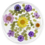 Resin Coaster Real Flower Prairie Harvest 10cm