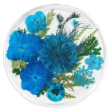 Resin Coaster Real Flower Meadow Blue 10cm