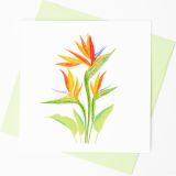 Quilled Card Bird of Paradise Flower