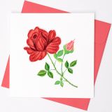 Quilled Card Red Rose