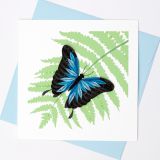 Quilled Card Ulysses Butterfly