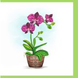 Quilled Greeting Card Purple Orchid 15x15cm