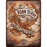 Nostalgic-Art Large Sign Harley Born To Ride Eagle 30x40cm