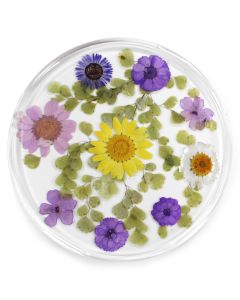 Resin Coaster Real Flower Prairie Harvest 10cm