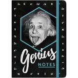 Nostalgic-Art Notebook Einstein - Genius Notes