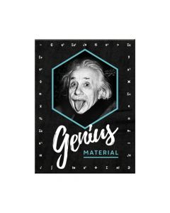 Nostalgic-Art Magnet Einstein Genius
